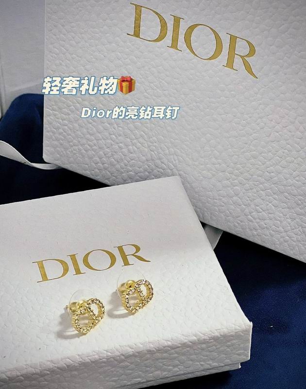 Dior Earring 04lyr381